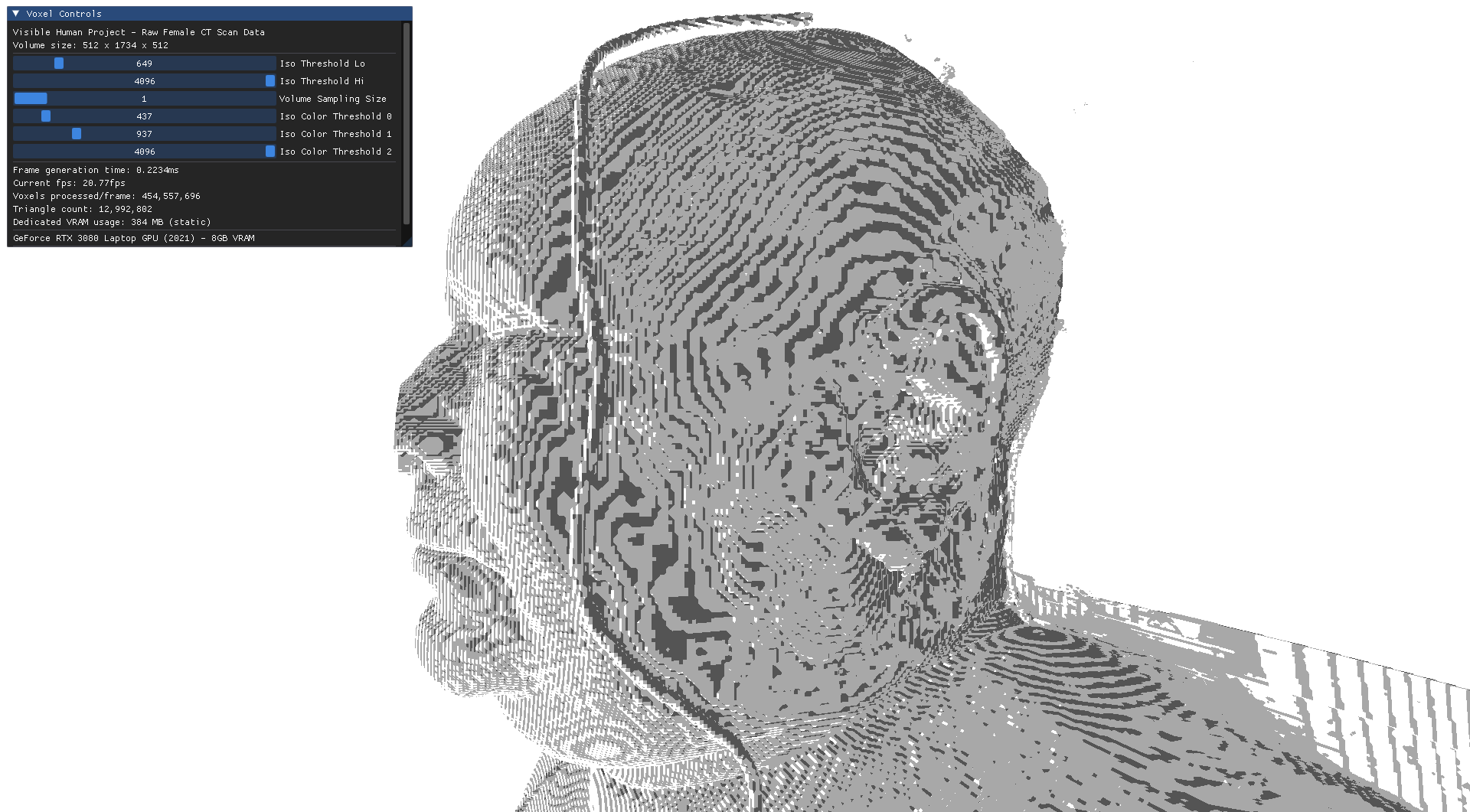 Flat shaded head mesh rendered from VHP CT data